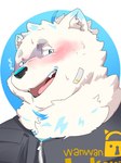 anthro bandage bandage_on_face blue_eyes blush clothing fur looking_at_viewer male neck_tuft solo topwear tuft vest white_body white_fur zipper nexusthelife lifewonders live_a_hero yohack canid canine canis domestic_dog mammal nordic_sled_dog samoyed spitz 3:4 bust_portrait hi_res portrait