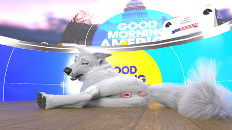 animal_genitalia animal_vulva anus butt canine_genitalia canine_vulva clitoral_fossa female feral genitals looking_at_viewer lying on_side open_mouth presenting presenting_hindquarters profanity raised_tail solo tail text vulva redneck_redoubt canid canine canis mammal wolf 16:9 3d_(artwork) 4k absurd_res digital_media_(artwork) english_text hi_res widescreen