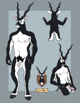 anthro balls black_body black_fur blue_eyes cloven_hooves erection flaccid foreskin front_view fur genitals hooves horn humanoid_genitalia humanoid_penis male male_anthro nipples nude nude_anthro nude_male pecs penis pink_penis pubes rear_view smile smiling_at_viewer solo standing tail teeth white_body white_fur labradorszn antelope blackbuck bovid mammal true_antelope 2025 hi_res model_sheet