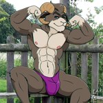 2_horns abs anthro biceps blue_eyes brown_body brown_fur brown_hair bulge closed_smile clothed clothing eyebrows flexing flexing_bicep flexing_both_biceps fur fur_markings gloves_(marking) hair horn looking_at_viewer male markings mouth_closed multicolored_body multicolored_fur muscular muscular_anthro muscular_male navel nipples pink_nipples purple_clothing purple_thong purple_underwear sitting smile solo thong thong_only topless topless_anthro topless_male two_tone_body two_tone_fur underwear underwear_only white_body white_fur fabfelipe bighorn_sheep bovid caprine mammal sheep 1:1 2018 digital_media_(artwork) hi_res