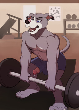 anthro barbell clothed clothing erection exercise genitals humanoid_genitalia humanoid_penis male penis penis_poking_out penis_through_leghole solo topless weightlifting weights workout harlem canid canine canis domestic_dog mammal