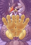 3_toes 4_toes absurd_res animal_genitalia avian avian_butt avian_feet beak bipedal_feral bird black_body black_feathers claws cloaca crotch_tuft dirty_feet feathers feet female feral foot_fetish foot_focus generation_4_pokemon genitals grey_body grey_feathers hi_res horizontal_cloaca lying narrowed_eyes nintendo nude on_back onomatopoeia patohoro pokemon pokemon_(species) presenting red_body red_feathers sigh soles solo sound_effects staraptor tail tail_feathers talons text toe_claws toes tuft unimpressed volatile_(patohoro) white_body white_feathers yellow_beak