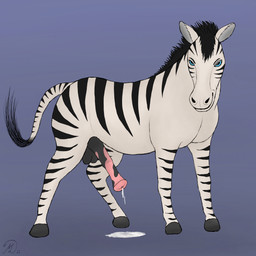 anatomically_correct anatomically_correct_genitalia anatomically_correct_penis animal_genitalia animal_penis balls black_mane black_stripes blue_eyes bodily_fluids cum cum_on_ground equine_genitalia equine_penis feral fur genital_fluids genitals looking_at_viewer male mane mottled mottled_genitalia mottled_penis penis solo stripes white_body white_fur maklykan equid equine hybrid mammal zebra zebroid 1:1 absurd_res hi_res