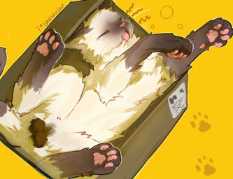 balls black_body black_fur box container feral fur genitals in_box in_container male sleeping solo white_body white_fur asenjian colorpoint domestic_cat felid feline felis mammal 2025