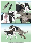 animal_genitalia animal_penis animal_pussy anus balls black_body black_fur bodily_fluids border canine_genitalia canine_penis canine_pussy countershade_fur countershade_tail countershading cunnilingus dialogue duo erection female feral feral_on_feral floppy_ears fur genital_fluids genitals imminent_sex intraspecies knot knotted_penis male male/female oral penis precum pussy quadruped sex sheath sniffing tail text tongue tongue_out vaginal white_border sketchy_shelby logan_(sketchy_shelby) shelby_(sketchy_shelby) canid canine canis domestic_dog husky mammal nordic_sled_dog spitz absurd_res comic english_text hi_res url