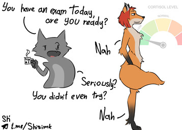 anthro grey_body hair orange_body red_hair standing text shisimk canid canine domestic_cat felid feline felis fox mammal english_text hi_res