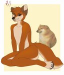 angry anthro cross-popping_vein eyebrows feet fur hindpaw looking_at_viewer male nude orange_body orange_fur paws simple_background sitting solo whiskers banzai.puppy dogelore cheems canid canine canis domestic_dog mammal shiba_inu spitz digital_media_(artwork) hi_res