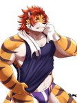 anthro areola biped blush bulge clothed clothing fur hair looking_at_viewer male muscular muscular_anthro muscular_male nipples pecs pink_nipples red_eyes red_hair shirt simple_background solo speedo striped_body striped_fur stripes swimwear tank_top topwear towel white_background chuurow lifewonders tokyo_afterschool_summoners nomad_(tas) felid mammal pantherine tiger 3:4 hi_res