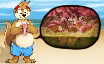 anthro arm_tuft beach belly big_belly black_nose bodily_fluids brown_body brown_fur brown_hair clothed clothing cutaway digestion drinking duo elbow_tuft eyewear eyewear_on_head fangs front_view fur gloves_(marking) goggles goggles_on_head hair holding_milkshake internal male male/male male_pred male_prey markings open_mouth oral_vore orange_body orange_fur outside red_tongue short_hair shoulder_tuft standing stomach_acid tan_body tan_fur teeth tongue tongue_out topless tuft vore acidic otter_(oceanotter) canid canine mammal mustelid otter