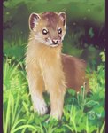 2016 ambiguous_gender brown_body brown_fur digital_media_(artwork) feral fur grass mammal mountain_weasel mustelid musteline nude plant shaded solo standing true_musteline ts-cat weasel whiskers white_body white_fur