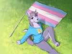 anthro blue_clothing blue_sweater blue_topwear bottomless bottomless_female brown_eyes clothed clothing female hoodie lgbt_pride meadow merchandise pride_colors sitting sitting_on_ground solo sweater topwear transgender_pride_colors belvor raichu_(character) canid canine canis mammal wolf hi_res trans_(lore) trans_woman_(lore)