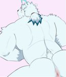 anthro anus blush butt fur male muscular muscular_anthro muscular_male solo white_body white_fur fongu knights_college paul_pfitzner bear mammal polar_bear ursine 2021 absurd_res hi_res