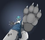 4_fingers 4_toes anthro barefoot bottomwear claws clothing feet fingers foot_focus grey_pawpads hair looking_at_viewer low-angle_view male multicolored_body open_mouth pawpads shorts solo spots teal_hair teal_nose toe_claws toes two_tone_tail worm's-eye_view uroko canid canine mammal 2021