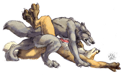 anal anal_penetration animal_genitalia animal_penis anthro arch_position bodily_fluids canine_genitalia canine_penis claws clenched_teeth cum cum_on_self dipstick_tail duo ears_back erection eyes_closed finger_claws from_front_position fur genital_fluids genitals gloves_(marking) grey_body grey_fur knot knotted_penis knotting leg_markings leg_wrap male male/male markings nude nude_anthro nude_male pawpads paws penetration penile penile_penetration penis penis_in_ass pivoted_ears pointy_ears prick_ears sex simple_background socks_(marking) tail tail_markings tan_body tan_fur teeth toe_claws whisker_spots white_background blotch scratches_volume_2 canid canine canis fox mammal red_fox true_fox wolf 2008 traditional_media_(artwork)