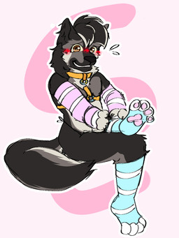 anthro arm_socks athletic blush brown_body chest_harness chest_tuft clothing collar embarrased_horny feet femboy hair harness legwear long_hair male pawpads paws slim solo stockings tuft beetlezine macrobeetle moonshine_(gshep) canid canine canis domestic_dog german_shepherd herding_dog mammal pastoral_dog 3:4