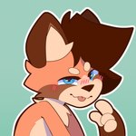 anthro blep blush fluffy male seductive smile smug solo tongue tongue_out crissyac crissy ailurid mammal red_panda 1:1 hi_res