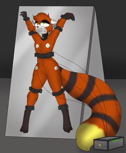 anthro bdsm black_body black_fur black_nose black_paws black_tail bondage bound curling_toes d-ring dipstick_tail electrocution electrode electrode_on_leg electrode_on_nipples electrode_on_thigh electrode_pad electroshock_device electrostimulation enjoying_pain feet female fluffy fluffy_chest fluffy_ears fluffy_legs fluffy_tail fur gag genitals half-closed_eyes led_light long_tail looking_pleasured markings masochism mouth_tape narrowed_eyes pain red_body red_fur red_tail solo submissive submissive_anthro submissive_female tail tail_markings tape tape_bondage tape_gag torture torture_device vulva white_body white_fur wired_controller yellow_body yellow_eyes yellow_fur yellow_markings yellow_tail yellow_tail_tip liuthekitty775 kira_(cloviushoofus) ailurid mammal red_panda absurd_res hi_res