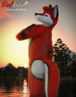 5_fingers anthro biped black_nose blue_eyes claws digitigrade fingers fluffy fur gloves_(marking) grass hair lake male male_anthro markings pawpads paws plant public realistic red_body red_fur sky sun sunset tree water whiskers white_body white_fur white_whiskers red_wulfie red_(red_wulfie) canid canine canis mammal wolf 3d_(artwork) absurd_res blender_(artwork) blender_cycles_(artwork) digital_media_(artwork) hi_res watermark