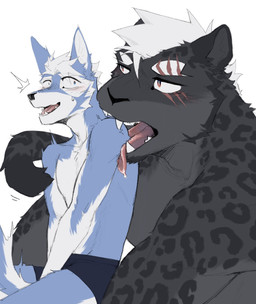 anthro athletic athletic_anthro athletic_male biped black_body black_fur blue_body blue_fur boxers_(clothing) boxers_only clothed clothing duo eye_contact eye_scar facial_scar fur licking licking_another looking_at_another male male/male muscular muscular_anthro muscular_male scar tongue topless underwear underwear_only white_body white_fur cyanusowo canid canine canis felid mammal pantherine tiger wolf 2025 hi_res