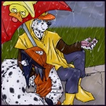 clothing dalmookie duo female holding_object holding_umbrella hoodie male outside poncho raining sitting spots tail topwear umbrella wet aerynoustinne noit rayndee anatid anseriform avian bird duck hybrid 1:1