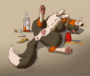 alcohol animal_genitalia animal_vulva anus begging begging_pose beverage bodily_fluids canine_genitalia canine_vulva condom drooling drunk feet female feral fur genitals grin hindpaw looking_at_viewer lying on_back paws pose presenting raised_leg saliva sexual_barrier_device simple_background smile solo substance_intoxication tail tail_motion tailwag vulva vonark coco_(vonark) bernese_mountain_dog canid canine canis domestic_dog mammal molosser mountain_dog swiss_mountain_dog