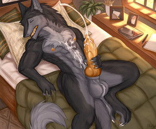 abs animal_genitalia animal_penis anthro areola back_muscles balls bedding bedroom blanket bodily_fluids cum cumshot ejaculation eyes_closed fluffy fur genital_fluids genitals grey_balls grey_body grey_fur hand_on_penis knot male masturbation neck_tuft obliques open_mouth orgasm_face pecs penile penile_masturbation penis pillow serratus solo tail tuft phaulis sergal hi_res