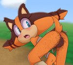 2018 anthro anus badger bent_over big_eyes big_pubes blue_eyes blush bodily_fluids body_hair bottomless bottomwear bracelet brown_body brown_fur butt butt_hair clothed clothing colored digital_media_(artwork) eyelashes female fur genitals grass hairy hairy_legs hairy_pussy hi_res hyper_pubes jewelry looking_back mammal mustelid musteline open_mouth orange_body orange_fur outside plant presenting presenting_hindquarters pubes pussy raised_tail rear_view sega shirt skirt sky solo sonic_boom sonic_the_hedgehog_(series) sticks_the_jungle_badger surprise sweat tail tail_under_skirt tenshigarden topwear