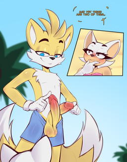 2_penises 2_tails anthro female genitals male male/female multi_genitalia multi_penis multi_tail penis pose tail felixf sega sonic_the_hedgehog_(series) miles_prower rouge_the_bat bat canid canine fox mammal absurd_res hi_res pinup