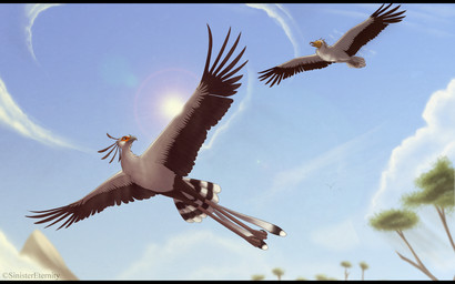 4_toes anisodactyl avian_feet beak black_bars brown_body brown_feathers day digitigrade duo feathered_wings feathers feet feral flying outside scuted_feet scutes sky sun toes wings sinistereternity asar_(sinistereternity) jaeger_(sinistereternity) accipitrid accipitriform avian bird egyptian_vulture old_world_vulture secretary_bird vulture 16:10 2012 digital_media_(artwork) widescreen