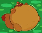 2020 areoants avian belly big_belly bird chicken fur furry_tail galliform gallus_(genus) green_background gui_(toxicoow) huge_belly hyper hyper_belly immobile inflation motion_lines orange_body orange_fur phasianid simple_background tail