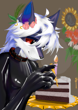 anthro birthday_cake cake dessert food gentle_maledom happy latex male solo unknown_artist canid canine canis mammal wolf hi_res
