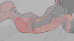 anal anal_penetration anatomically_correct anatomically_correct_genitalia animal_genitalia animal_penis anthro anus balls bodily_fluids butt cardiophilia cum cum_inside duo equine_genitalia equine_penis erection genital_fluids genitals internal male male/male male_penetrated male_penetrating male_penetrating_male nude organs penetration penile penis raised_tail sex simple_background tail tail_anus thick_tail x-ray_view lostdragon01 deneb_totter equid equine horse mammal mustelid otter animated hi_res sound webm