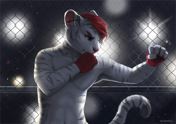anthro boxing clothing defensive fingerless_gloves fur gloves handwear male pose solo sport keumano finnian_ennis