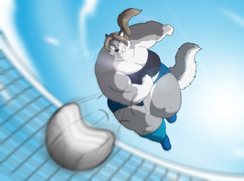 anthro ball big_breasts bottomwear breasts brown_hair clothing female footwear fur grey_body grey_fur hair light multicolored_body multicolored_fur net overweight overweight_anthro overweight_female ponytail sky solo sport sun sunlight teeth thick_thighs topwear two_tone_body two_tone_fur volleyball volleyball_(ball) volleyball_net white_body white_fur xxsparcoxx sophia_(xxsparcoxx) canid canine canis mammal wolf 2017 digital_media_(artwork)