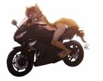 anthro breasts brown_hair claws ear_piercing female fur hair looking_back motorcycle ninja nude paws piercing pose simple_background smile solo text toe_claws vehicle warrior white_background nicnak044 kawasaki sahara_(nicnak044) canid canine canis coyote mammal digital_media_(artwork) english_text pinup signature