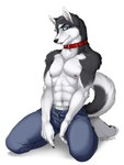 abs anthro barefoot biped black_body black_fur black_nose blue_eyes bottomwear canid canine canis clothed clothing collar domestic_dog feet fur holly_marie_ogburn husky kneeling looking_at_viewer male mammal multicolored_body multicolored_fur muscular muscular_anthro muscular_male navel nipples nordic_sled_dog open_bottomwear open_clothing open_pants pants pecs pose simple_background solo spitz tail topless two_tone_body two_tone_fur underwear unzipped unzipped_pants white_background white_body white_fur zipper zipper_down