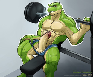 abs anthro balls biped bodily_fluids bulge clothed clothing erection exercise foreskin genital_fluids genitals glans gym humanoid_genitalia humanoid_penis male muscular muscular_anthro muscular_male penis penis_poking_out precum retracted_foreskin sitting solo speedo swimwear topless weightlifting weights workout todex amphibian frog 2012