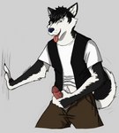 anthro bottomwear clothed clothing erection genitals humanoid_genitalia humanoid_penis male masturbation pants penile penile_masturbation penis shirt solo t-shirt through_clothing tongue tongue_out topwear vest unsafescapewolf echo_(series) echo_project raven_(echo) canid canine canis domestic_dog husky mammal nordic_sled_dog spitz 2021 absurd_res hi_res