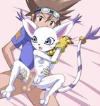 anthro blue_eyes brush digiphilia duo female human_on_anthro interspecies male male/female sex smile heigani bandai_namco digimon taichi_kamiya digimon_(species) gatomon human mammal