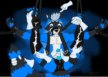 anthro bdsm blue_body blue_eyes blue_fur blue_penis bound collar disembodied_hand erection fur genitals grey_hair group hair hands_everywhere humanoid_genitalia humanoid_penis latex leather male multiple_hands muzzle_(object) muzzled penis solo_focus azuracoon azura_raccoon mammal procyonid raccoon 2018 digital_media_(artwork) hi_res