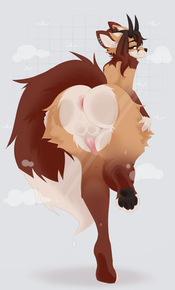 4_toes anthro anus balls bangs big_butt black_pawpads brown_eyes brown_hair butt erection feet fluffy_thighs fur genitals hair horn humanoid_genitalia humanoid_penis long_hair looking_at_viewer looking_back looking_back_at_viewer male multicolored_body multicolored_fur on_one_leg pawpads paws penis pink_anus raised_tail rear_view shower_room snout solo standing tail thick_thighs toes wet wet_body wet_fur nollya canid canine fox mammal absurd_res colored digital_drawing_(artwork) digital_media_(artwork) hi_res shaded