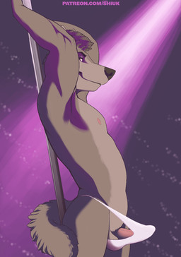 anthro areola balls biped black_nose blurred_background brown_eyes bulge clothed clothing dancing detailed_bulge erection eyebrows fluffy fluffy_tail fur genital_outline genitals grey_body grey_fur hair humanoid_genitalia humanoid_penis inside light looking_at_viewer male mostly_nude penis penis_outline pole pole_dancing pose purple_light raised_arm side_view solo standing stripper tail tenting text thong topless underwear white_clothing white_thong white_underwear cypher333 shiuk canid canine canis mammal wolf 2019 2d_animation animated digital_drawing_(artwork) digital_media_(artwork) hi_res lighting loop motion_tweening pinup url
