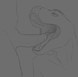 anthro duo erection fellatio foreskin genitals low_contrast male male/male open_mouth oral penile penis penis_on_tongue sex teasing tongue vein veiny_penis good-boi-sergal dinosaur lizard prehistoric_species reptile scalie animated greyscale hi_res loop monochrome
