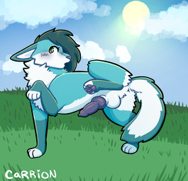animal_genitalia animal_penis anus balls blush canine_genitalia canine_penis caught_off_guard erection feral fluffy genitals hiked_leg knot knotted_penis male outside pawpads paws penis presenting raised_leg solo standing tail unnatural_colors saberbutt remmy_the_fox canid canine fox mammal red_fox true_fox trans_(lore) trans_woman_(lore)