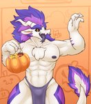 4_fingers abs anthro bottomwear candy chest_fur clothing dessert fingers food fruit fur holidays loincloth looking_at_viewer male muscular muscular_anthro muscular_male nipples non-mammal_nipples open_mouth open_smile plant pumpkin purple_nipples smile solo tail tongue tongue_out white_body blackontrack halloween mythology pich_(character) dragon furred_dragon furred_scalie mythological_creature mythological_scalie scalie 2020 hi_res