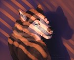 anthro biped blue_eyes brown_body brown_fur ear_piercing facial_piercing fur looking_back male multicolored_body multicolored_fur nose_piercing piercing shadow solo whisker_spots whiskers sepulte reyes_(sepulte) canid canine canis mammal wolf absurd_res hi_res