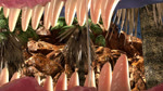 ambiguous_gender ambiguous_pred bodily_fluids consistent_pov esophagus first_person_view inside_mouth open_mouth oral_vore prey_pov saliva saliva_string solo swallowing vore chioxin_(artist) mythology chioxin dragon mythological_creature mythological_scalie scalie 16:9 3d_(artwork) 3d_animation animated digital_media_(artwork) no_sound short_playtime webm widescreen