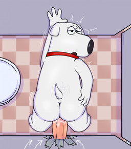 4_fingers anal anal_penetration anthro anthro_penetrated bathroom black_nose bodily_fluids butt checkered checkered_floor collar collar_only cum cum_in_ass cum_inside directional_arrow duo erection fingers fur genital_fluids genitals glory_hole half-closed_eyes human_on_anthro human_penetrating human_penetrating_anthro interspecies looking_back looking_pleasured male male/male male_penetrated male_penetrating male_penetrating_male motion_blur motion_lines narrowed_eyes nude open_mouth penetration penile penile_penetration penis penis_in_ass public_restroom red_collar restroom_stall sex small_tail tail tail_motion tailwag white_body white_fur joalmidon family_guy brian_griffin canid canine canis domestic_dog human mammal 2026 digital_drawing_(artwork) digital_media_(artwork) english_description hi_res