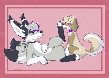 collar digit_ring duo feet female feral foot_fetish genitals jewelry male male/female paws penis ring smile smirk sniffing toe_ring toes vixeyhuskybutt gracie_(vixeyhuskybutt) sai_zilver bird_dog canid canine canis domestic_dog fennec_fox fox golden_retriever hunting_dog mammal retriever true_fox hi_res