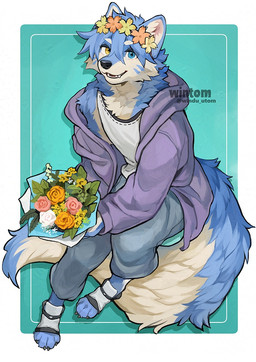 anthro big_tail blue_body blue_fur blue_hair bottomwear bouquet claws clothing flower flower_crown footwear fur hair heterochromia hoodie looking_at_viewer male pants paws plant solo tail teeth text toe_claws toeless_footwear topwear white_body white_fur wintom canid mammal 2026 artist_name digital_media_(artwork)